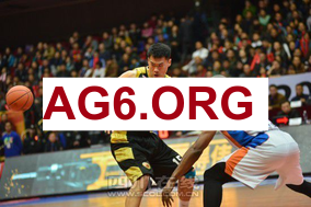 大赢家足球即时比分比分